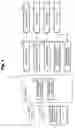 Fig. 02 - Ink jet printer and movement control method for carriage
