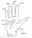 Fig. 27 - Handle and Connector for an Illustration Unit