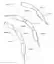 Fig. 43 - Handle and Connector for an Illustration Unit