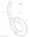 Fig. 44 - Handle and Connector for an Illustration Unit
