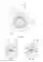 Fig. 07 - Shock absorber