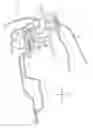 Fig. 01 - Structure of vehicle side door