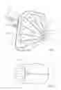 Fig. 02 - Airbag