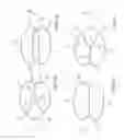 Fig. 04 - Airbag