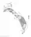Fig. 03 - HEATED WIPER ASSEMBLY