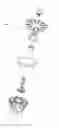 Fig. 01 - INGREDIENT DISPENSING CAP FOR BEVERAGE CONTAINER
