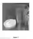 Fig. 06 - SILICA ENCAPSULATION OF UREOLYTIC BACTERIA FOR SELF-HEALING OF CEMENT-BASED COMPOSITES