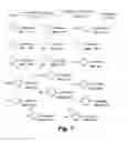 Fig. 02 - ANTIMICROBIAL PYRIDINOHYDRAZIDE AND HYDRAZOMETHYLPYRIDINE-BASED AGENTS