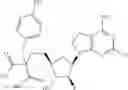 Fig. 366 - Ectonucleotidase inhibitors and methods of use thereof