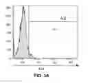 Fig. 04 - METHODS AND COMPOSITIONS FOR TREATING CANCER