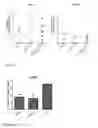 Fig. 09 - Oncolytic adenoviruses coding for bi-specific antibodies
