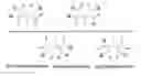 Fig. 01 - Dendronized polymers for nucleic acid delivery