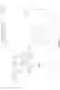 Fig. 04 - Dendronized polymers for nucleic acid delivery