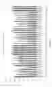 Fig. 13 - Dendronized polymers for nucleic acid delivery