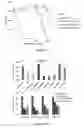 Fig. 14 - Dendronized polymers for nucleic acid delivery