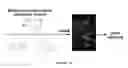 Fig. 18 - Dendronized polymers for nucleic acid delivery