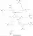 Fig. 25 - Dendronized polymers for nucleic acid delivery