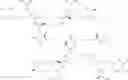 Fig. 27 - Dendronized polymers for nucleic acid delivery