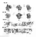 Fig. 03 - Activatable CRISPR/CAS9 for spatial and temporal control of genome editing