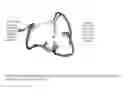 Fig. 11 - NOVEL METALLOPROTEASES