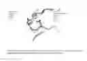 Fig. 12 - NOVEL METALLOPROTEASES