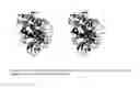 Fig. 22 - NOVEL METALLOPROTEASES