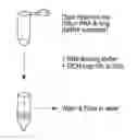 Fig. 01 - COMPOSITIONS AND METHODS FOR PREPARING SHORT RNA MOLECULES AND OTHER NUCLEIC ACIDS