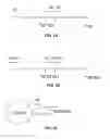 Fig. 02 - Immune repertoire sequence amplification methods and applications