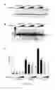 Fig. 10 - TAT-INDUCED CRISPR/ENDONUCLEASE-BASED GENE EDITING
