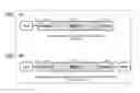 Fig. 07 - Chimeric double-stranded nucleic acid