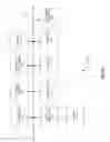 Fig. 75 - Synthetic gene clusters