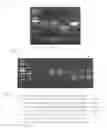 Fig. 02 - A METHOD FOR PRECISE MODIFICATION OF PLANT VIA TRANSIENT GENE EXPRESSION