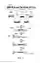 Fig. 08 - METHODS FOR CONSTRUCTING CONSECUTIVELY CONNECTED COPIES OF NUCLEIC ACID MOLECULES