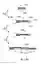 Fig. 22 - METHODS FOR CONSTRUCTING CONSECUTIVELY CONNECTED COPIES OF NUCLEIC ACID MOLECULES