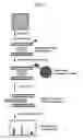 Fig. 02 - COMPOSITIONS AND METHODS FOR IDENTIFYING ENDOGENOUS DNA-DNA INTERACTIONS