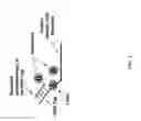 Fig. 02 - Methods for performing multiplexed real-time PCR