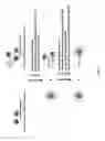 Fig. 04 - Methods for performing multiplexed real-time PCR
