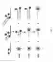 Fig. 05 - Methods for performing multiplexed real-time PCR