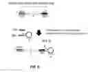 Fig. 06 - Hairpin-mediated amplification method
