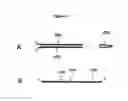 Fig. 13 - Nucleic acid sequencing by nanopore detection of tag molecules