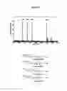 Fig. 20 - Nucleic acid sequencing by nanopore detection of tag molecules