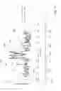 Fig. 05 - NANOPORE-BASED NUCLEIC ACID ANALYSIS WITH MIXED FRET DETECTION
