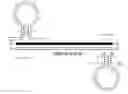 Fig. 01 - DUMBBELL-STRUCTURE OLIGONUCLEOTIDE, NUCLEIC ACID AMPLIFICATION PRIMER COMPRISING SAME, AND NUCLEIC ACID AMPLIFICATION METHOD USING SAME