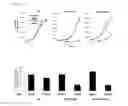 Fig. 06 - METHOD FOR PREDICTING RESPONSIVENESS TO PHOSPHATIDYLSERINE SYNTHASE 1 INHIBITOR