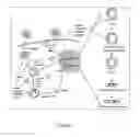 Fig. 03 - QUALITATIVE AND ABSOLUTE QUANTIFICATION KIT FOR DETECTING HEPATITIS B VIRUS CCCDNA