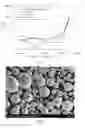 Fig. 02 - FE-BASED NANO-CRYSTALLINE ALLOY