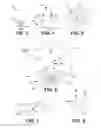 Fig. 03 - EBPVD columnated vapor stream