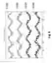 Fig. 09 - DETERMINATION OF CD AND/OR MD VARIATIONS FROM SCANNING MEASUREMENTS OF A SHEET OF MATERIAL