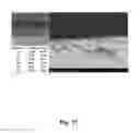 Fig. 28 - SYSTEM AND PROCESS FOR JOINING DISSIMILAR MATERIALS AND SOLID-STATE INTERLOCKING JOINT WITH INTERMETALLIC INTERFACE FORMED THEREBY