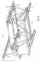 Fig. 35 - Weldless building structures